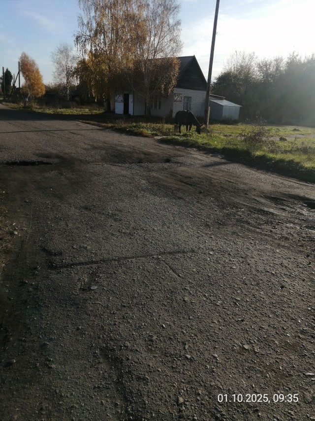 Будни сельпо