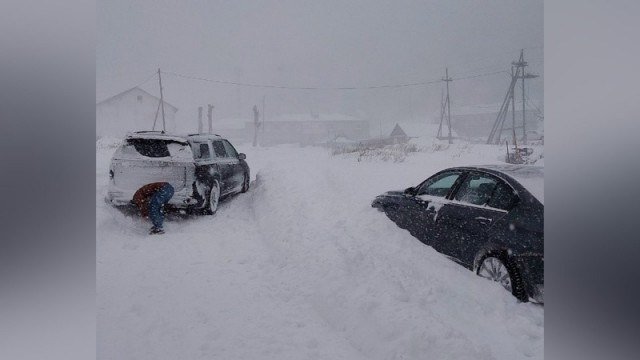 Зима, блеать
