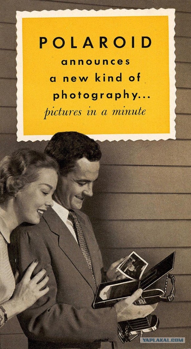 Факты о Polaroid