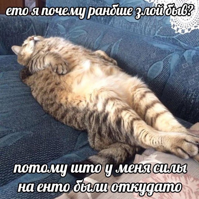 Так себе картинки 05.12.25