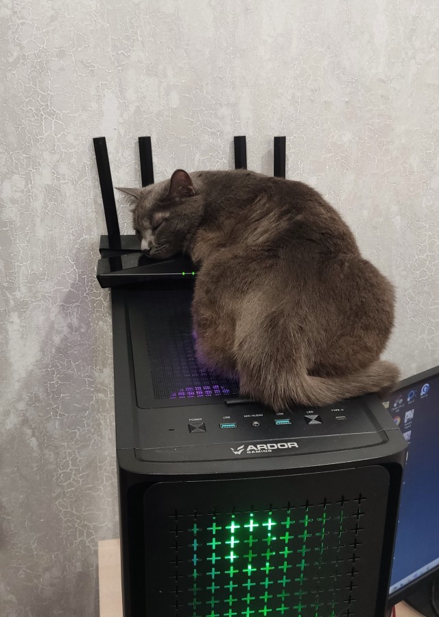 Производственный кот