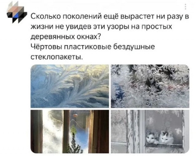 Так себе картинки 13.12.25