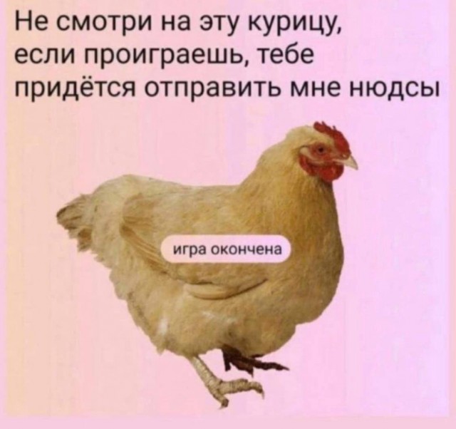 Аморальные Картинки 14.03.26