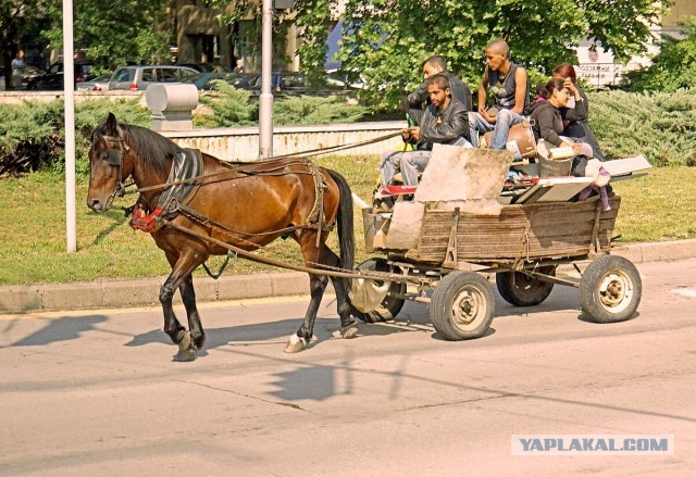 Вы там определитесь. Хватит баламутить народ!