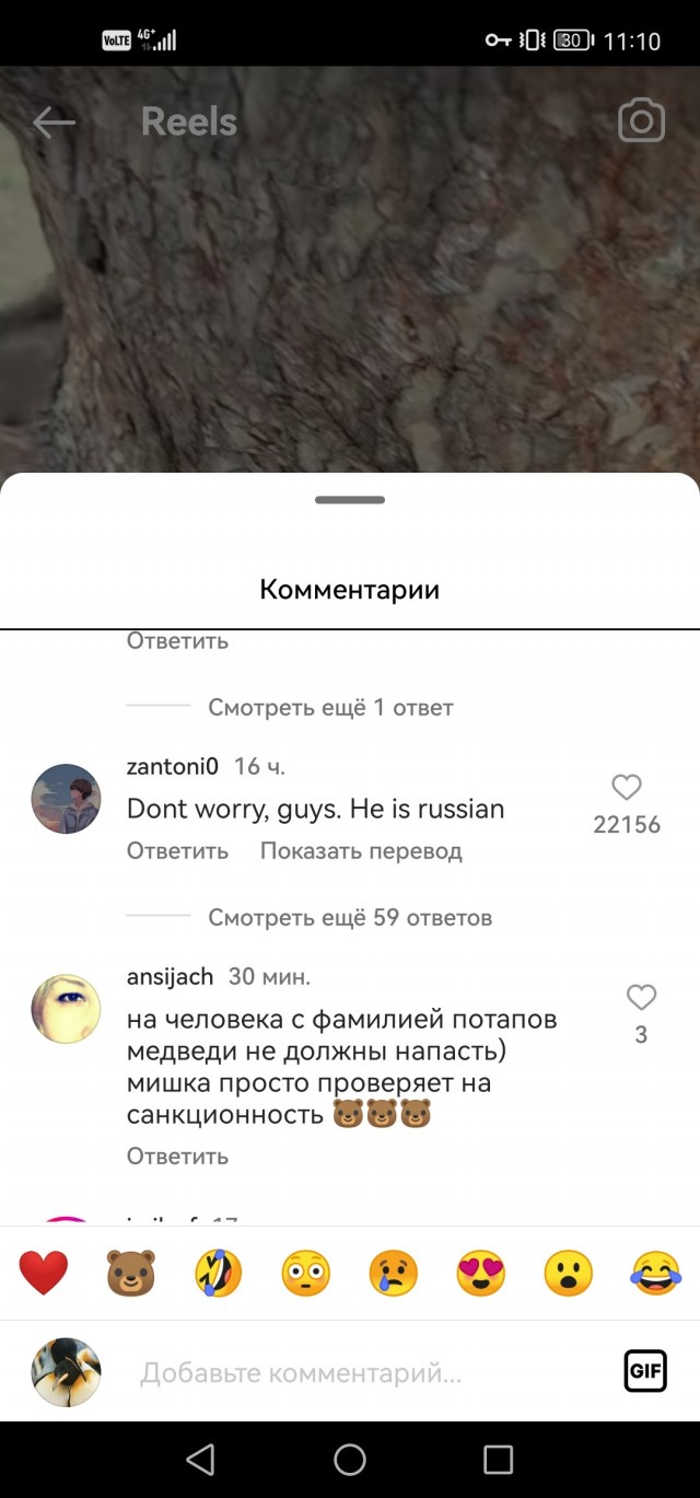 20985710.jpg