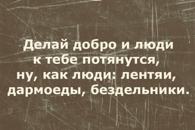 Веселые картинки в понедельник (06.07)