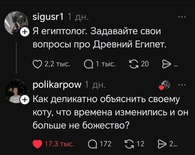 Что этот кожаный себе позволяет?