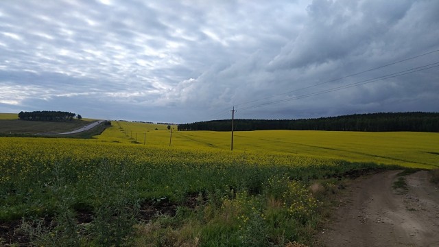 Двое, поэтический батл