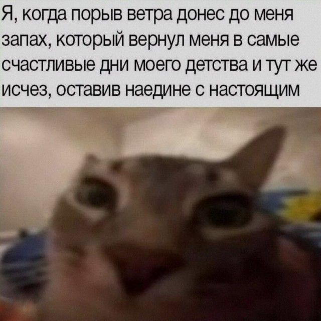 Так себе картинки 22.10.26
