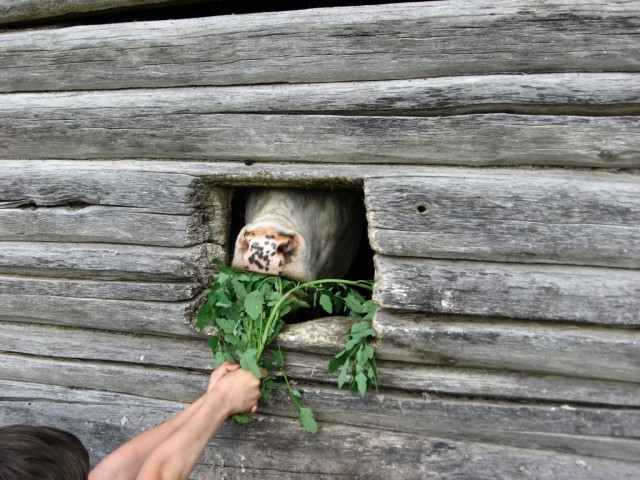 Поездка на Тамбовщину