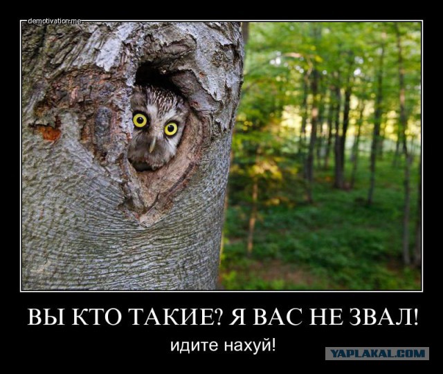 Вы кто такие?! Я вас не звал