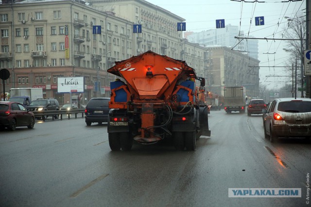 Русский дрист