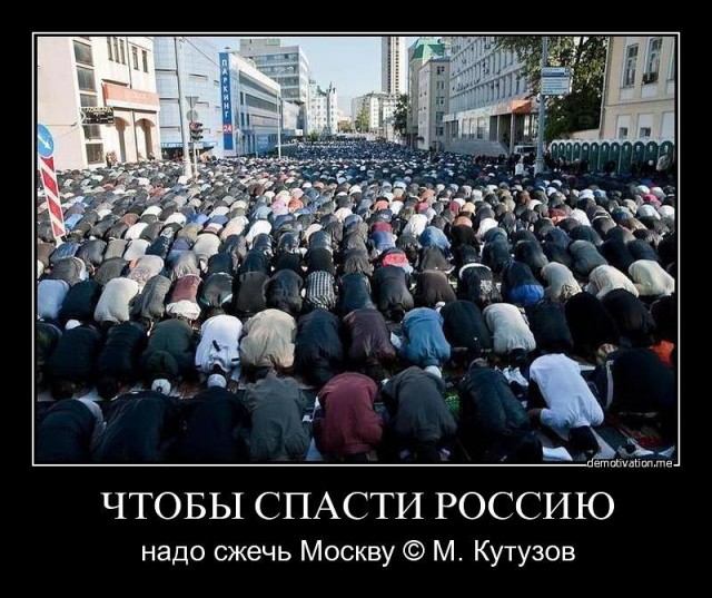 Европа окончательно сбрендила