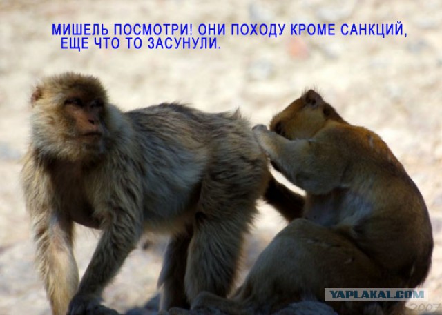 Мы по поводу санкций)))