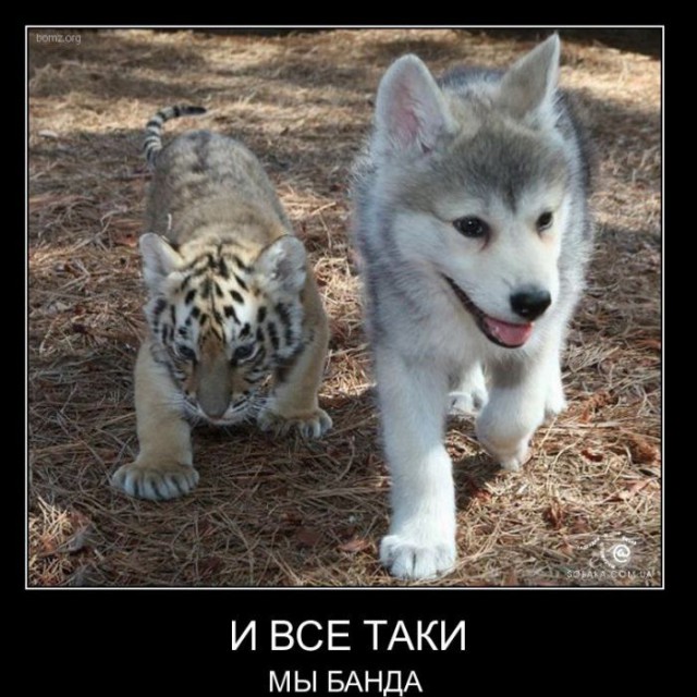 Хватит негатива на сегодня, пятница же!