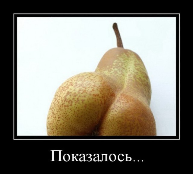 Веселое из сети
