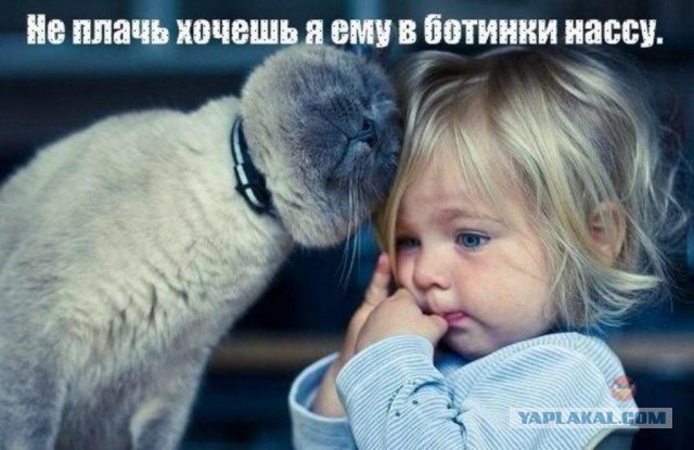 Фильмы, от которых вы будете плакать