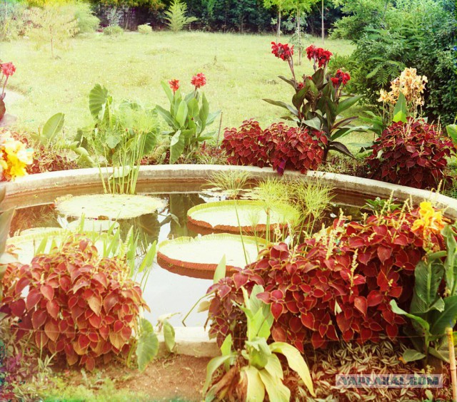 Редчайшие цветные фотографии Российской империи