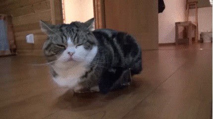 Размеры коробочки на степень удобства не влияют