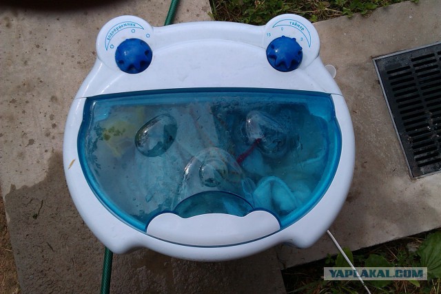 Они живые. Они смотрят на нас!