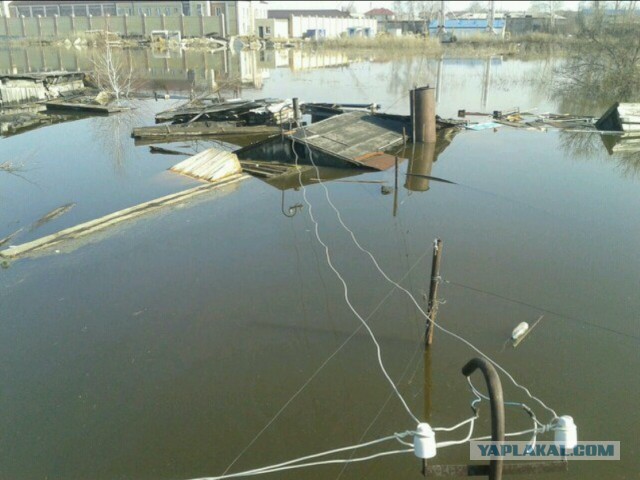 А ведь действительно...