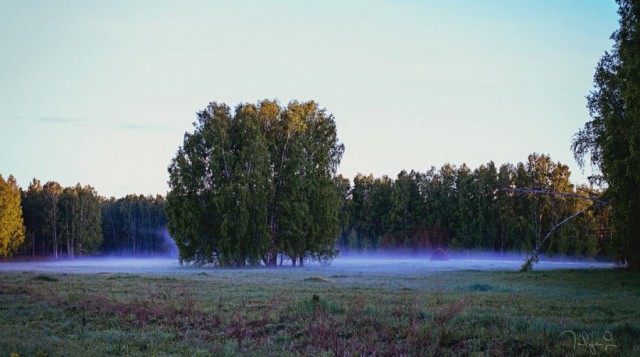 Подборка интересных и веселых картинок