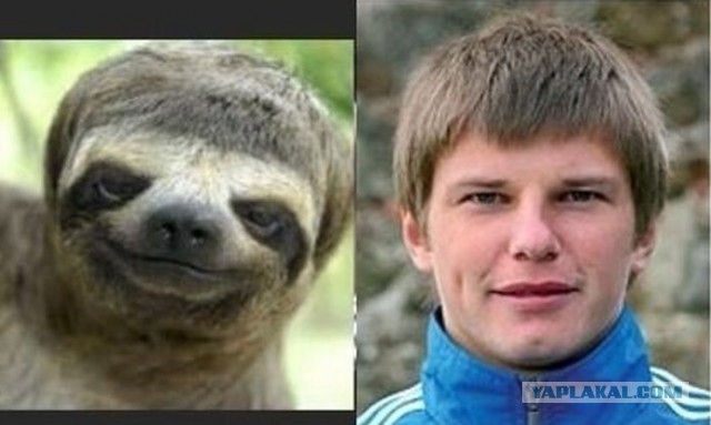Шоу двойников