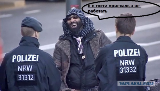 "Мы гости Ангелы Меркель, а гости не работают" Красавцы!
