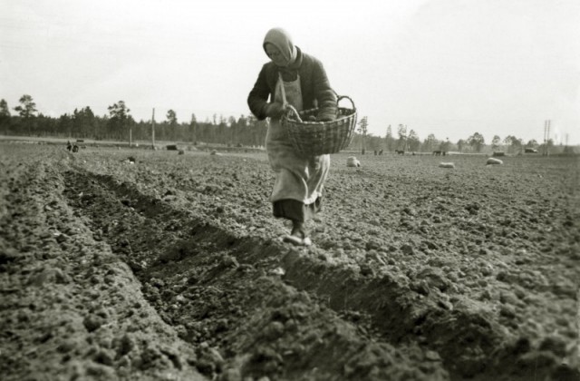 Поездка в СССР, 1935 г.