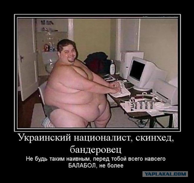 В Белграде появилась стена Моторолы