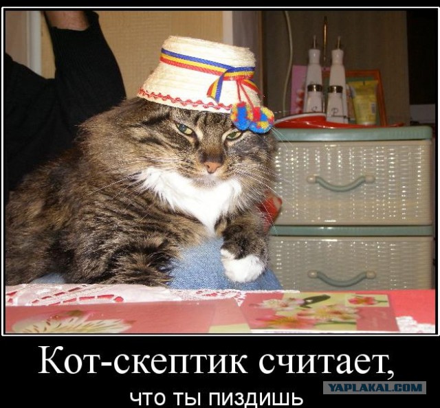 Ах, эта свадьба пела и ЖРАЛА!