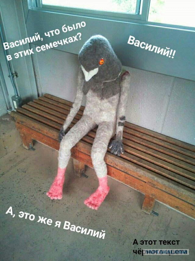 Смешные и не очень жипэги..