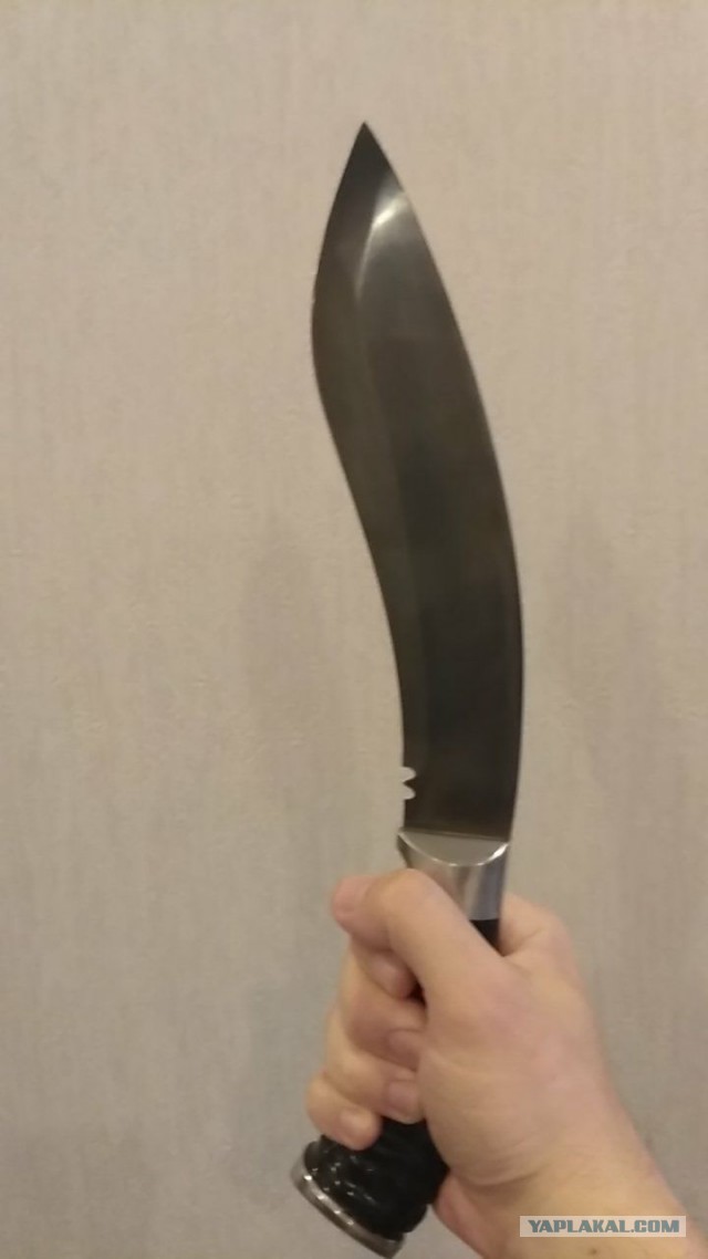 Продам Пчаки