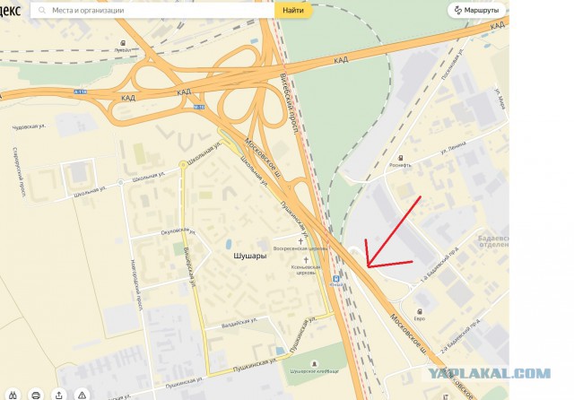 Учитель на путепроводе Московского шоссе, перед Азс Кириши
