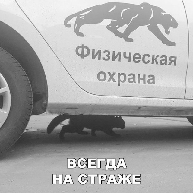 Просто юмор 13