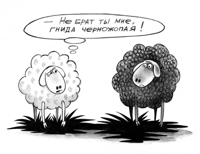 Подборка интересных и веселых картинок