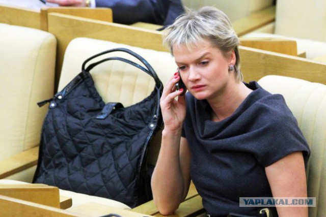 Деградация элиты России на примере Государственной Думы РФ. (30 фото)