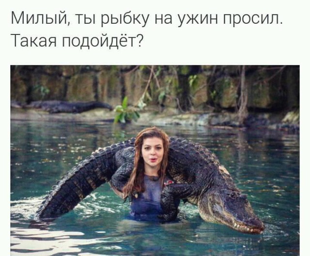 Подборка интересных и веселых картинок