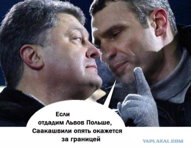 Немного картинок