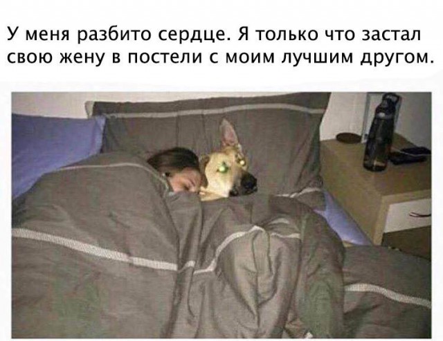 Отдыхаем от работы, в картинках без политоты.