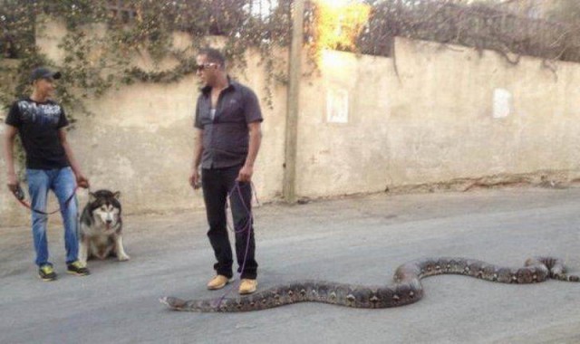 Подборка интересных и веселых картинок