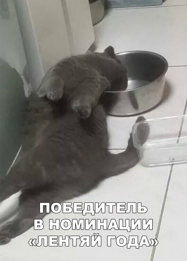 Немного милоты