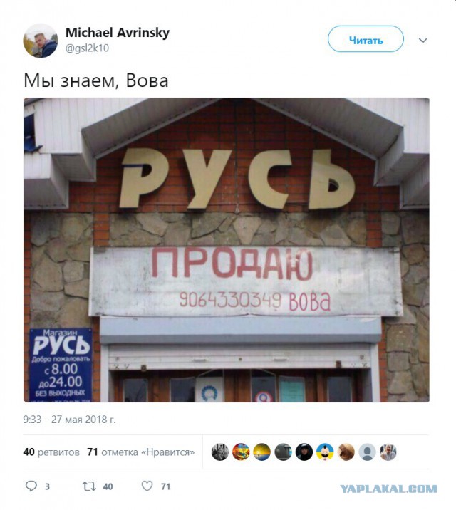 В сети комментируют заявление Путина о готовности России оплатить "Северный поток -2":" Может хватит унижать Великую страну?!"