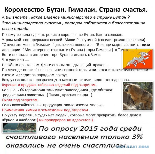 Прикольные комментарии и высказывания из Сети  14. 11. 2018.