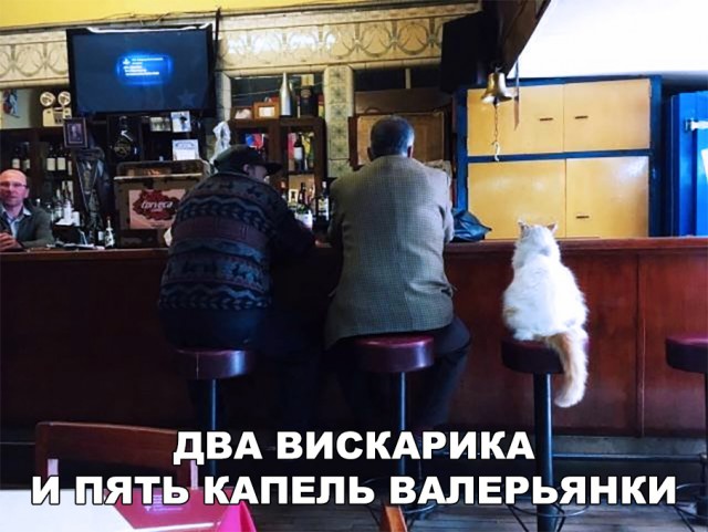 Нестандартный юмор