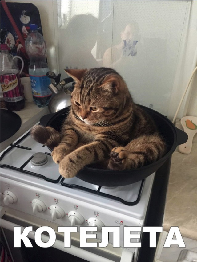 Немного милоты