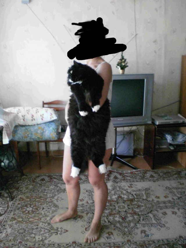 Котовторник 22.11.11