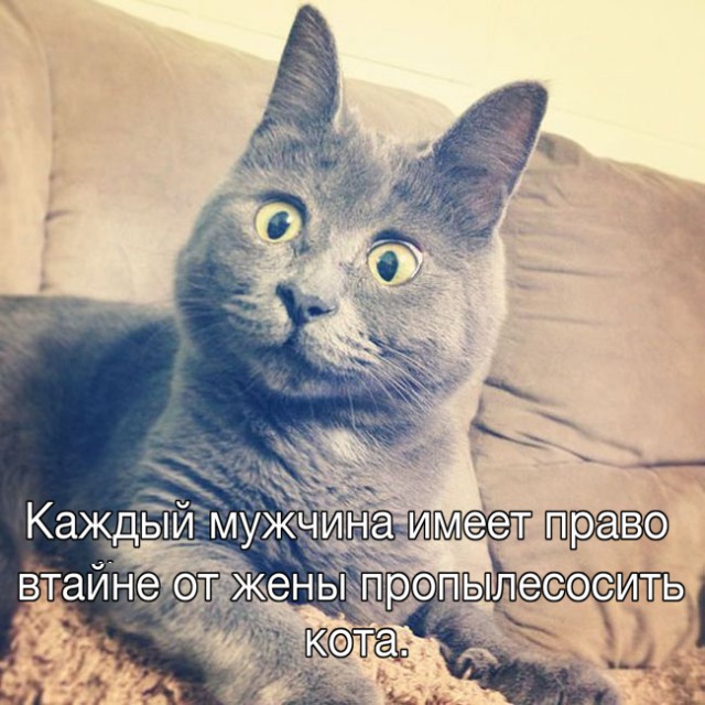 Умные мысли - 22