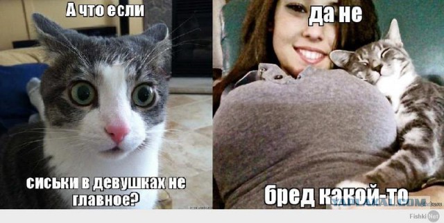 Соцсети. Муклам вход воспрещен