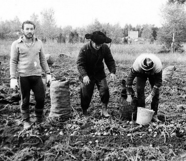 Джон Уик оказался сиротой из Беларуси. Это стало темой для шуток